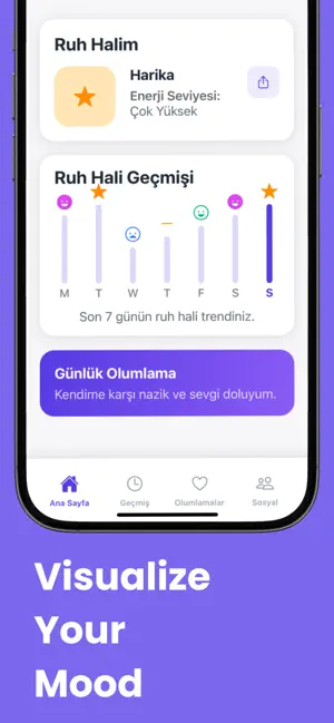 Mood Insight screenshot 4