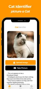 Cat Breed Identifier! screenshot #1 for iPhone