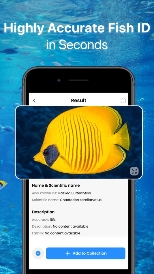 #4. Fish Identifier - Fish ID (iOS) 由: Huong Vu Lan
