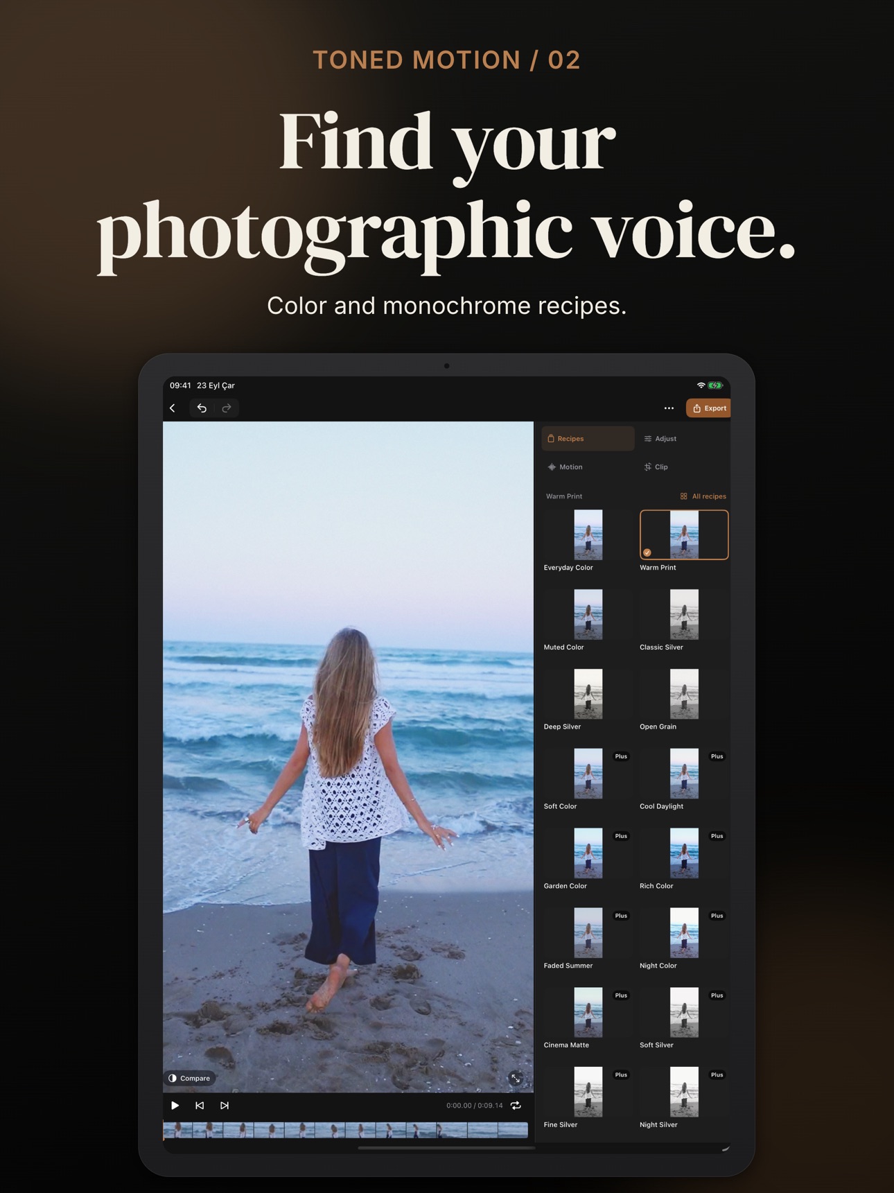 Screenshot 8 of Toned Motion: Video Filters