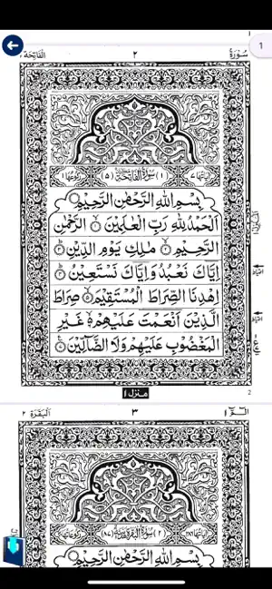 Quran PDF screenshot 4