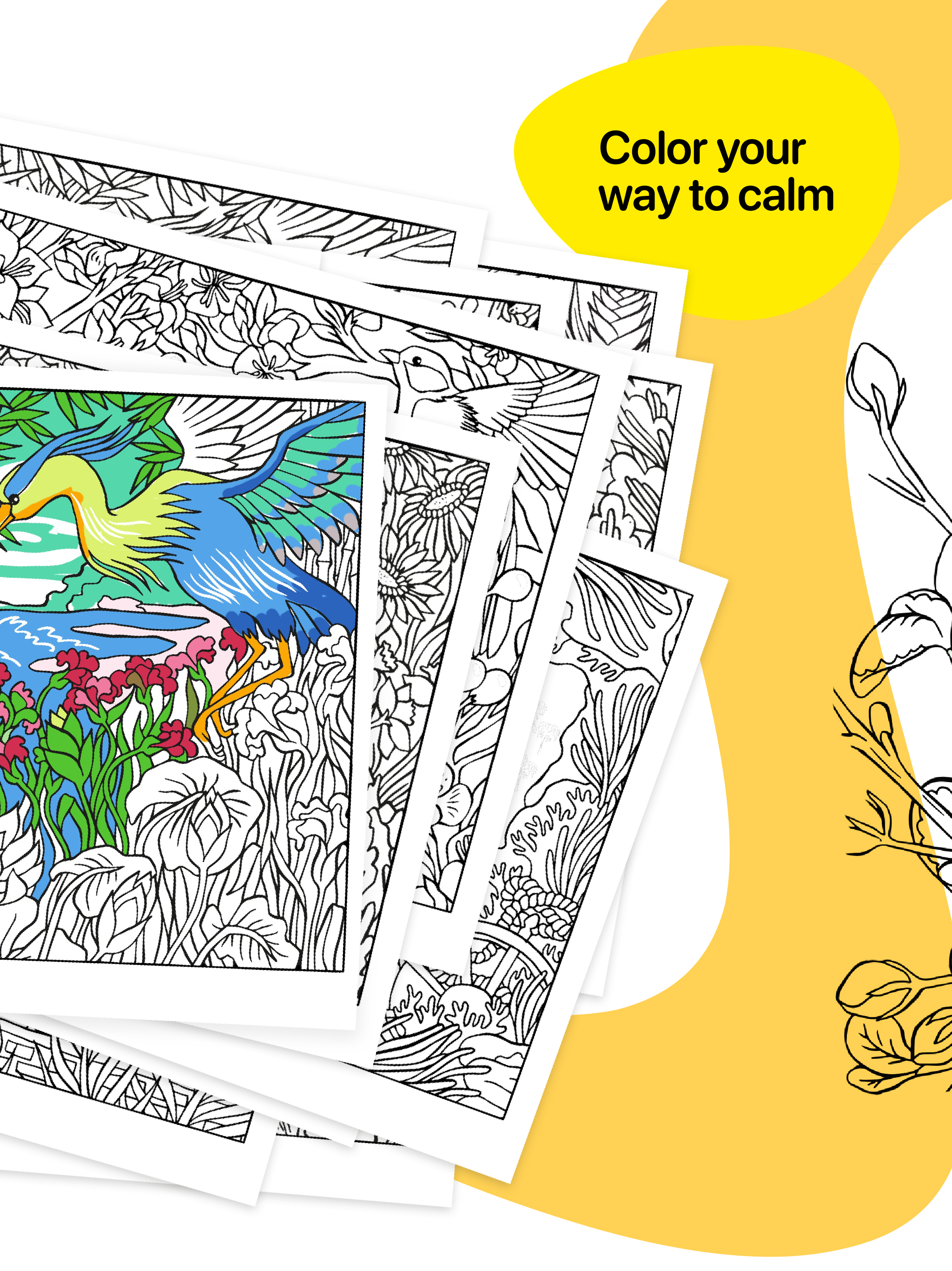 Miyako Coloring Books screenshot 9