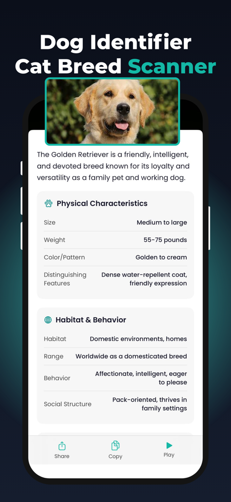 Lens AI: Scan & Image Search screenshot 4