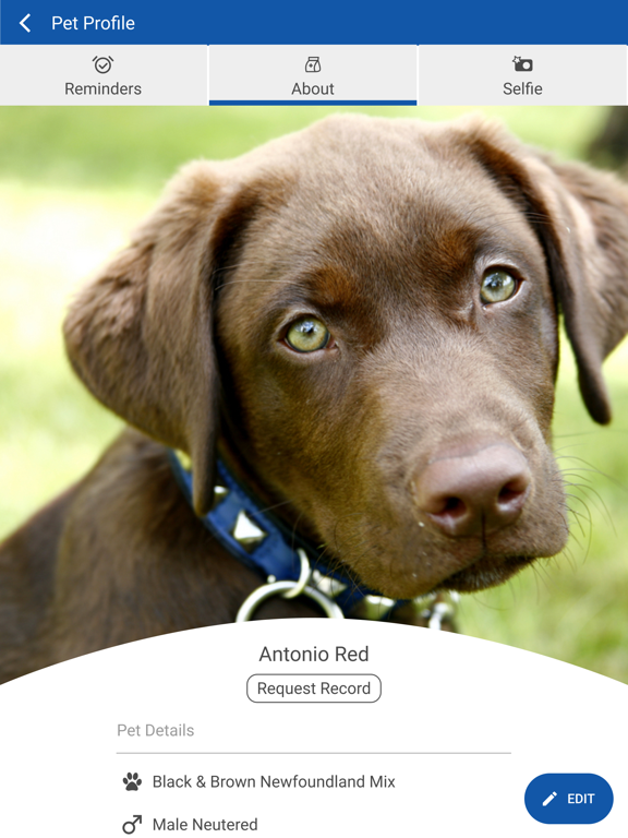 Screenshot #6 pour My Montgomery Vet