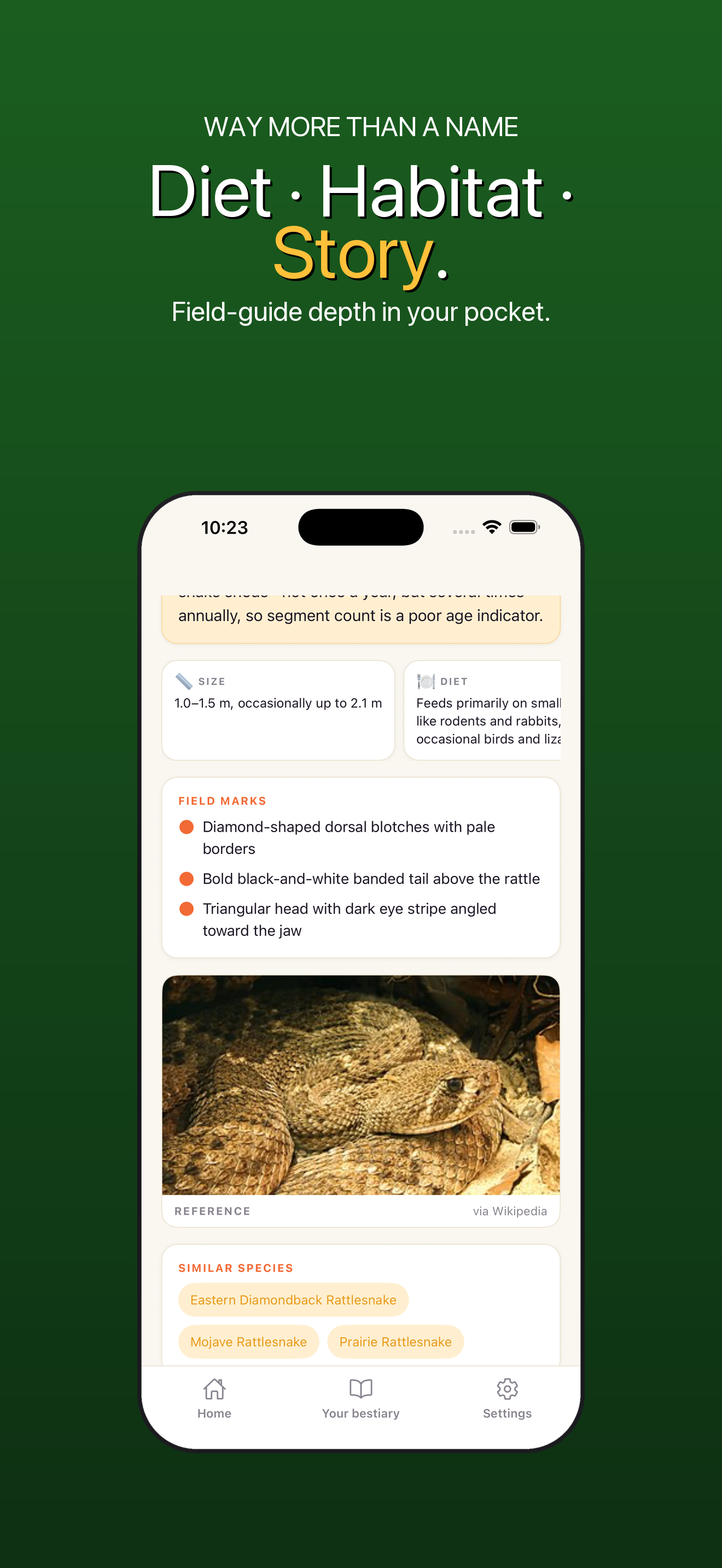Bestiary: Creature ID