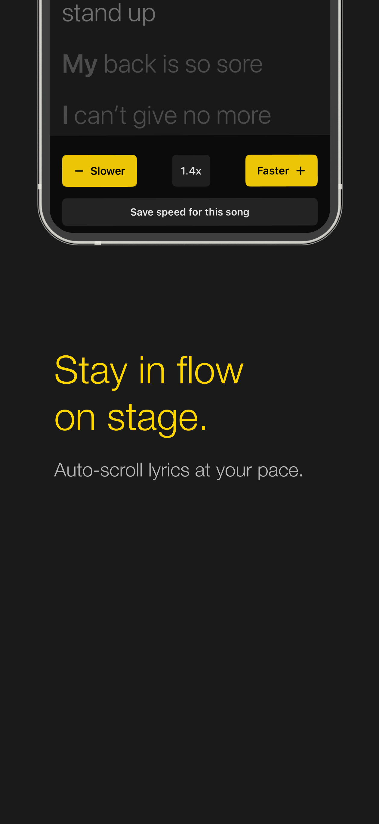 Lyric Viewer screenshot 2