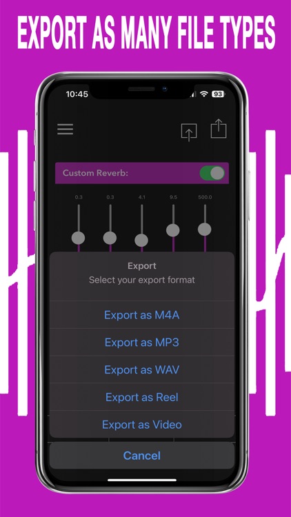 AudioVerb Audio Reverb & Delay screenshot-6