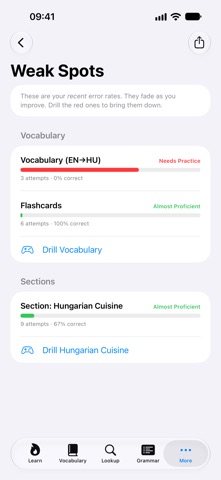 Hungarian Reference Screenshot 9 of 10