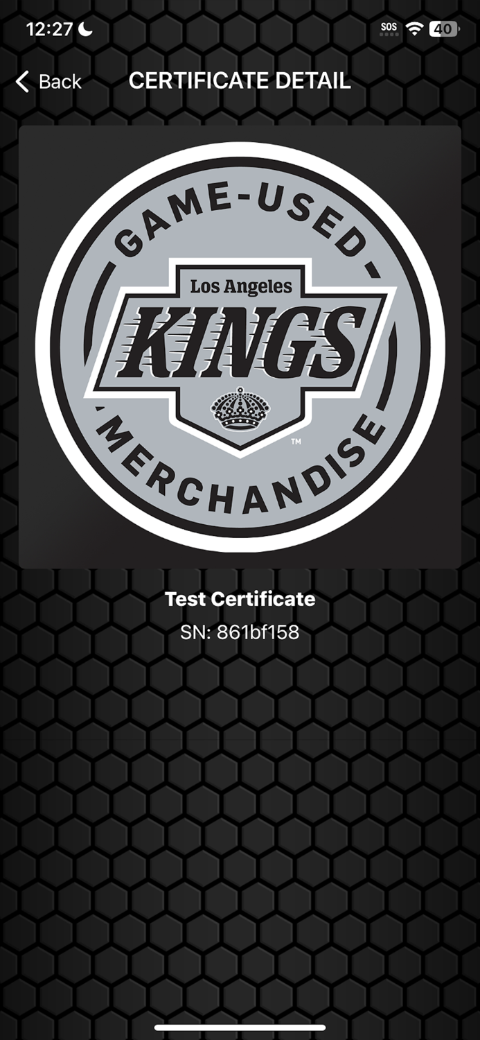 Game Used - LA Kings Game Used