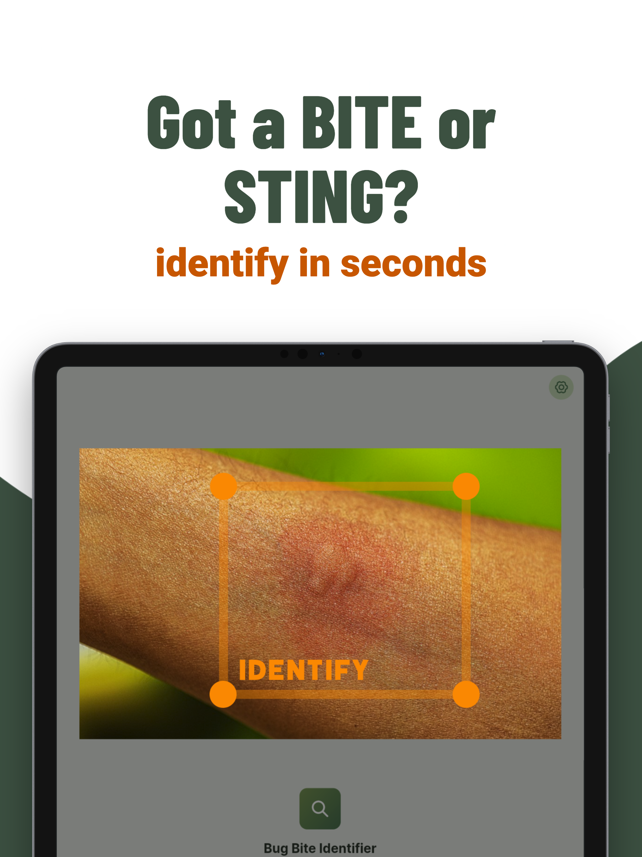 AI Bug Bite Identifier