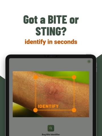 AI Bug Bite Identifier iPad screenshot
