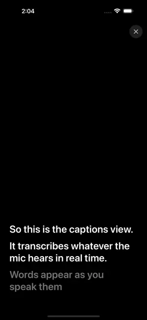 Live Lyric screenshot 4