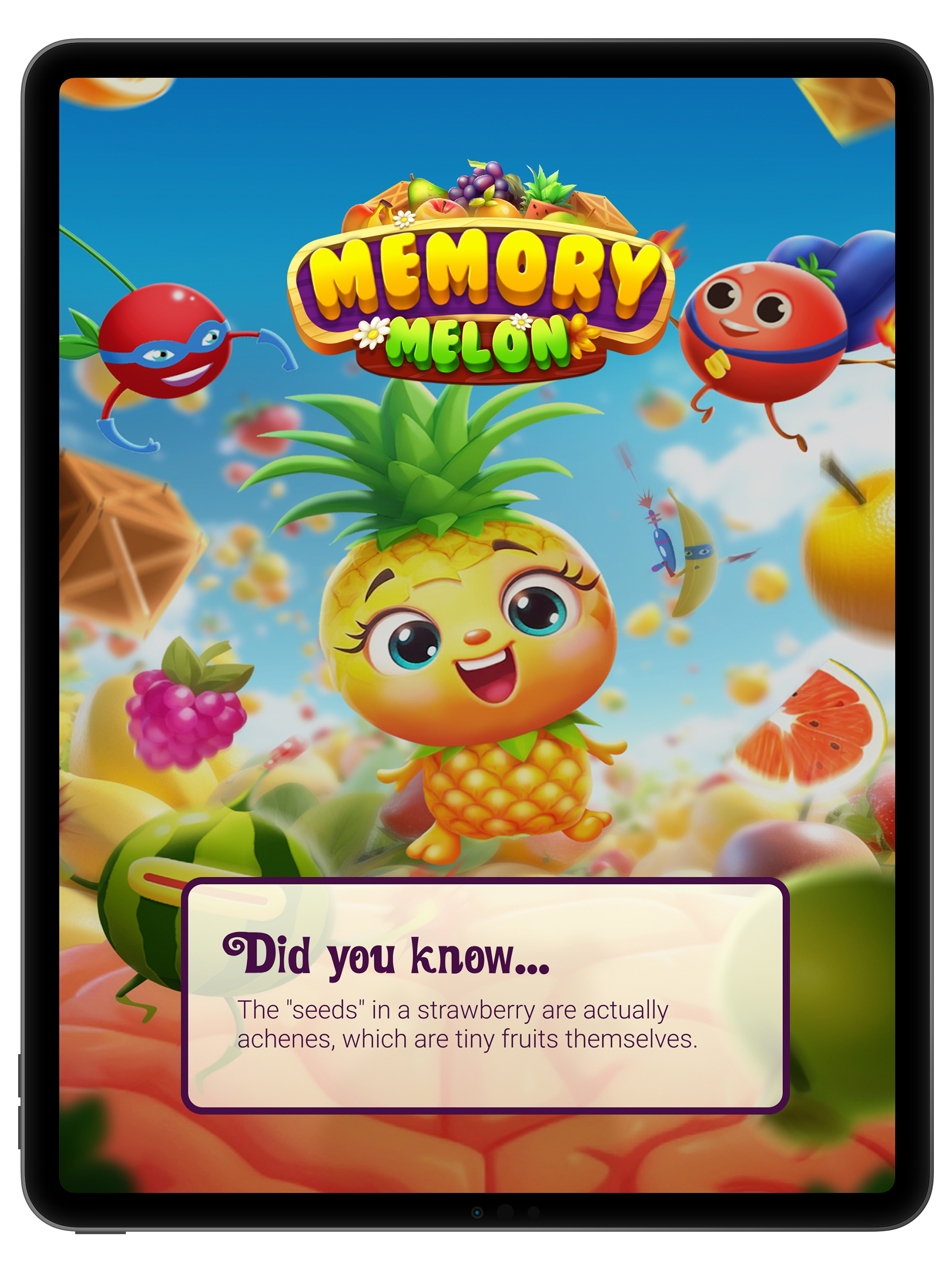 Memory Melon! screenshot 6