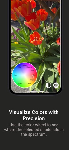 Name That Color screenshot
