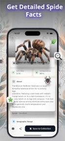 Spider Identifier - Bug Finder screenshot
