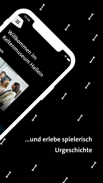 Keltenmuseum Hallein Screenshot