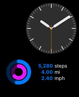 Pedometer Plus screenshot 8