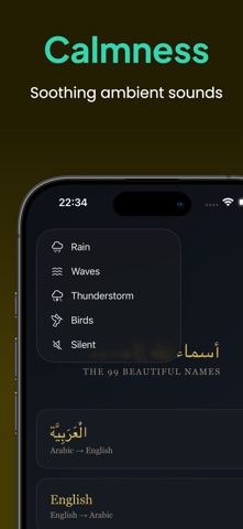 Ninety9 screenshot