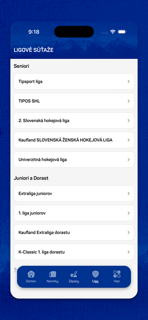 Slovenský hokej screenshot 5