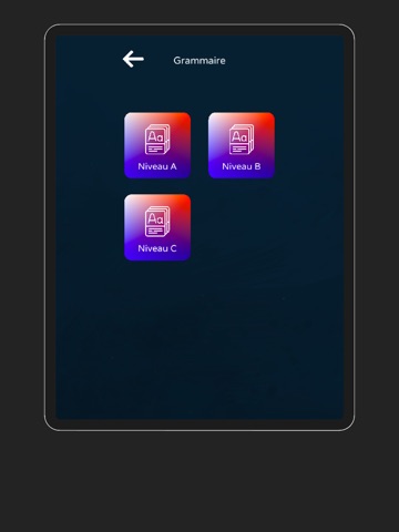 French Level Test & Learn iPad screenshot