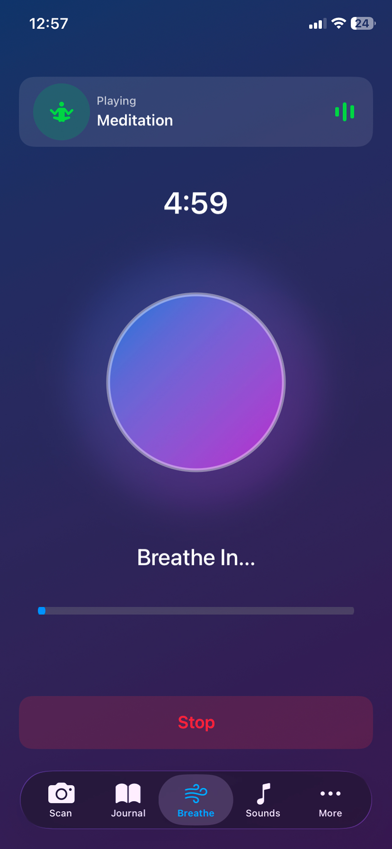 Stress Check & Relax