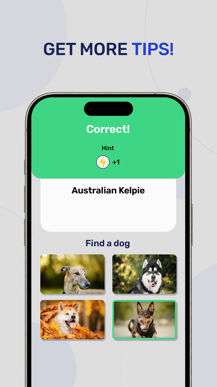 Dog Breeds - Quiz Guess Game