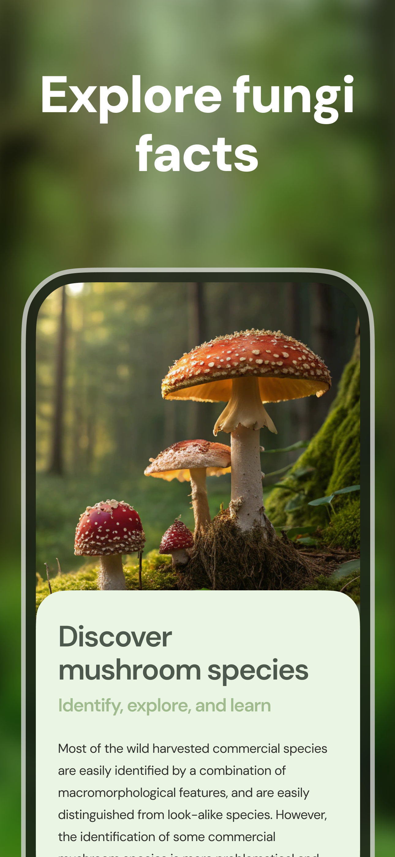Mushroom ID - Fungi Identifier screenshot 6