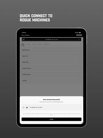 Rouge Screenshot 3