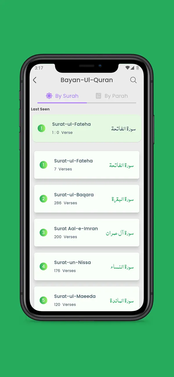 Screenshot #3 pour Bayan-ul-Quran