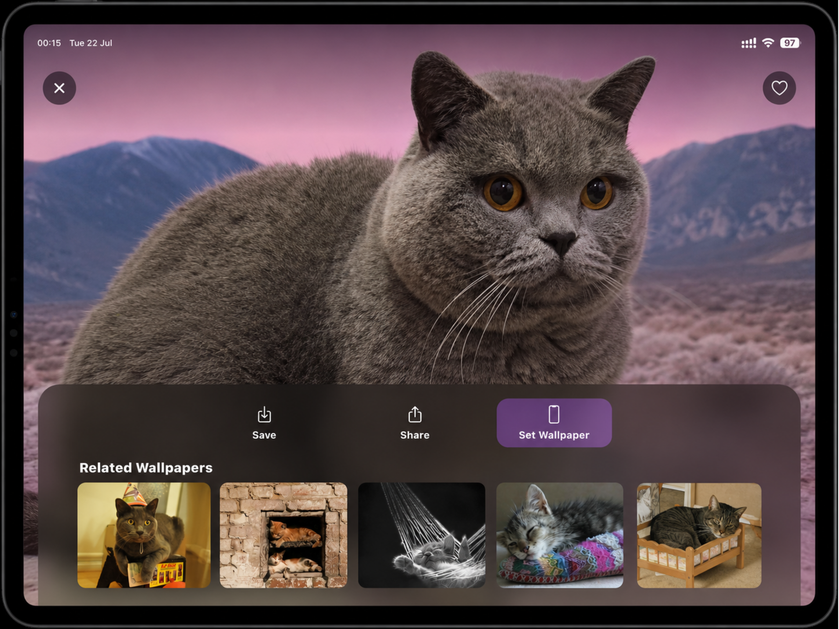 Catsy: AI Cat Wallpapers screenshot 9