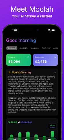 Moolah - AI Money Assistant screenshot