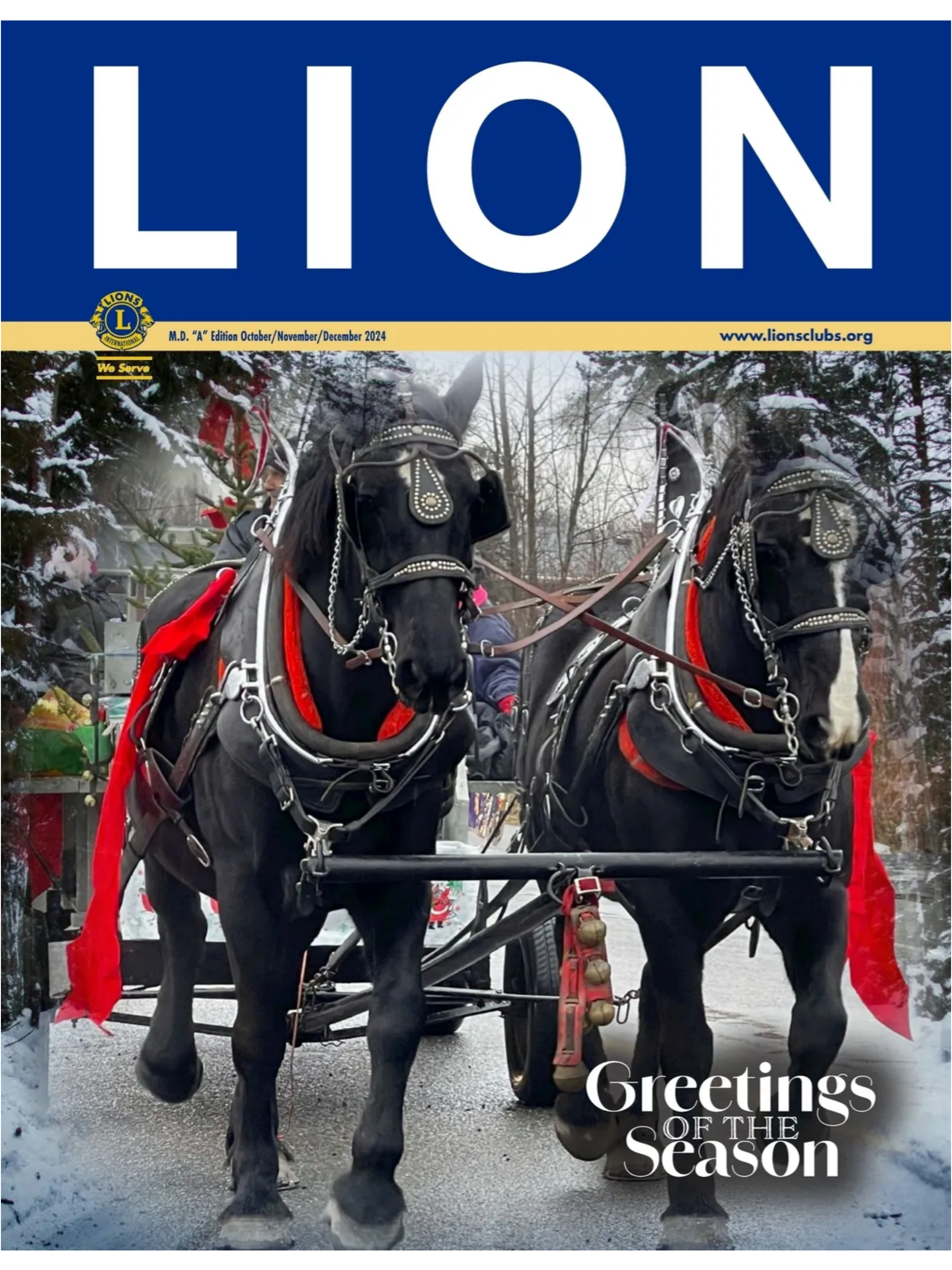 LION Magazine Canada screenshot 8