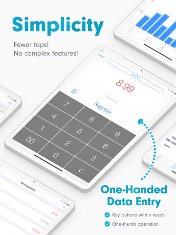 Easy Budget Money Tracker Zeny iPad screenshot 2