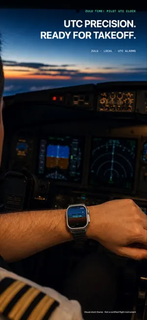 Zulu Time: Pilot UTC Clock screenshot 1