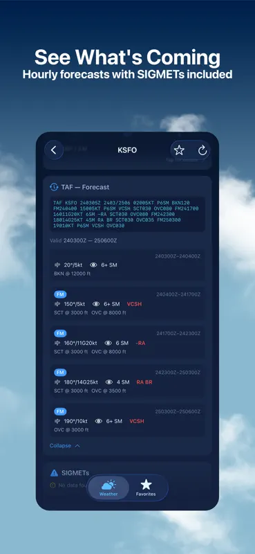 Aviation Weather: METAR & TAF screenshot 4 of 5