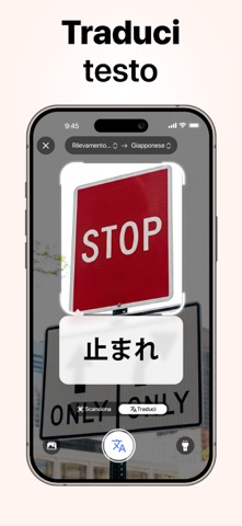 Lens AI: Identifica Foto iPhone screenshot 3