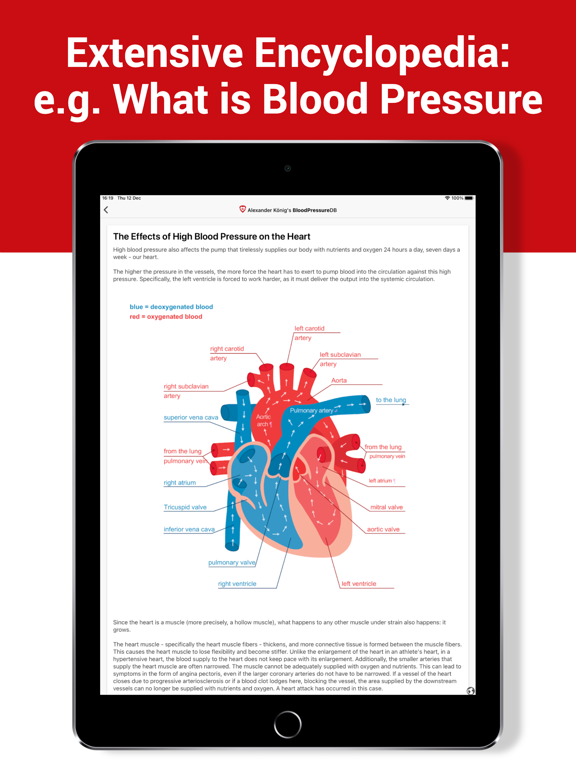 Blood Pressure DB - Log, Check iPad screenshot 8 - Medical app