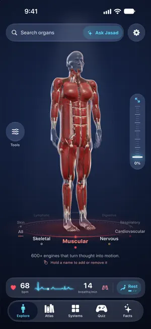 Jasad: 3D Human Anatomy screenshot 3