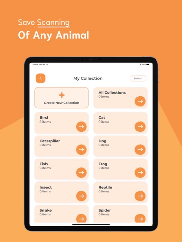 Animal Identifier - AI iPad screenshot
