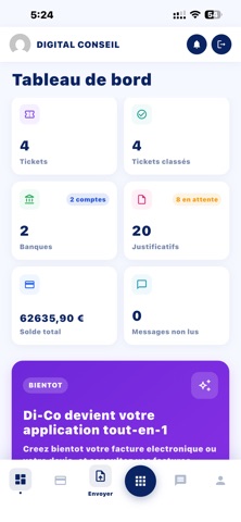 Digital Conseil  Di-Co iPhone screenshot