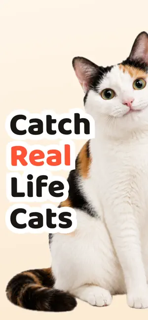Cat Collector: Catch Real Cats screenshot 1