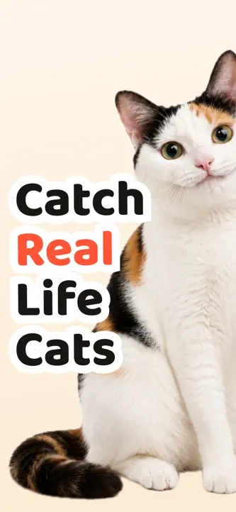 Cat Collector: Catch Real Cats screenshot 1