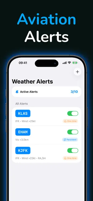 AirportWX - METAR & TAF screenshot 4