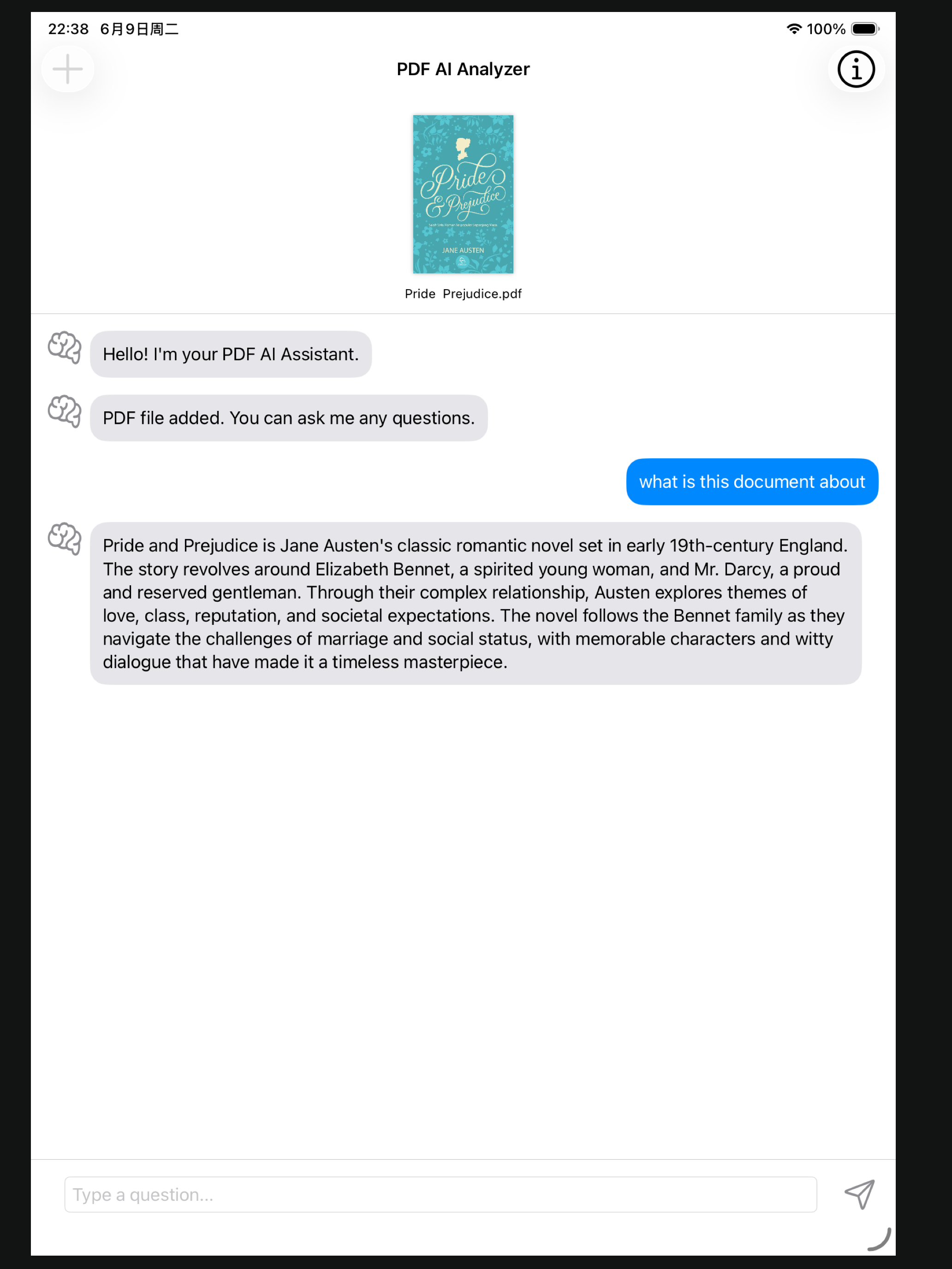 PDFAuto-Local PDF AI assistant screenshot 4