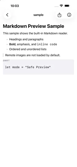 Screenshot von HTML Previewer auf dem iPhone 3