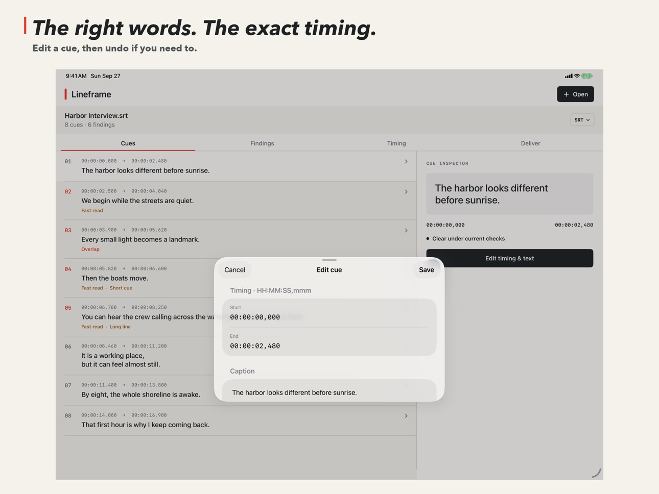 Screenshot 8 of Lineframe Subtitle QC