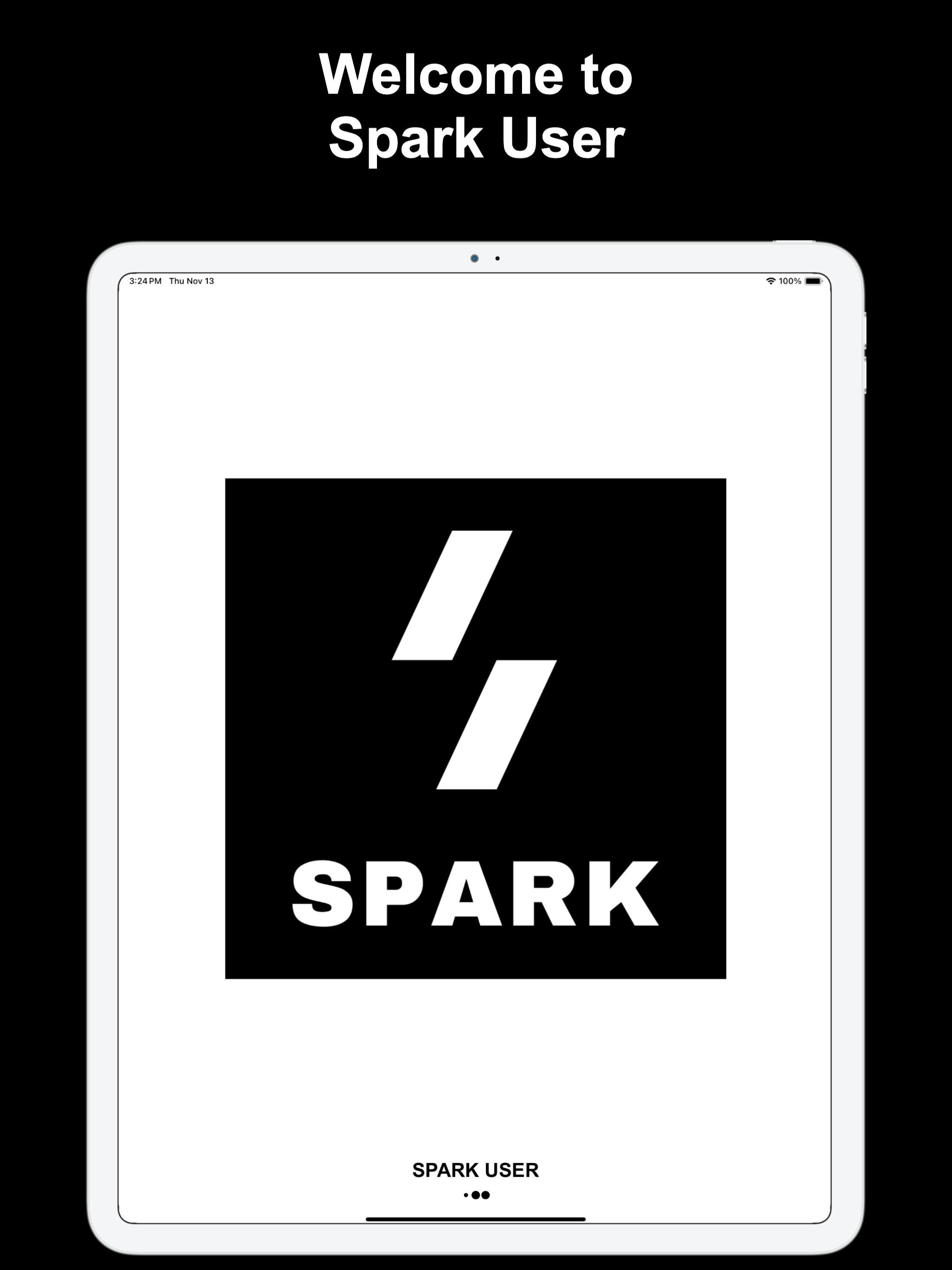 Spark Taxi User