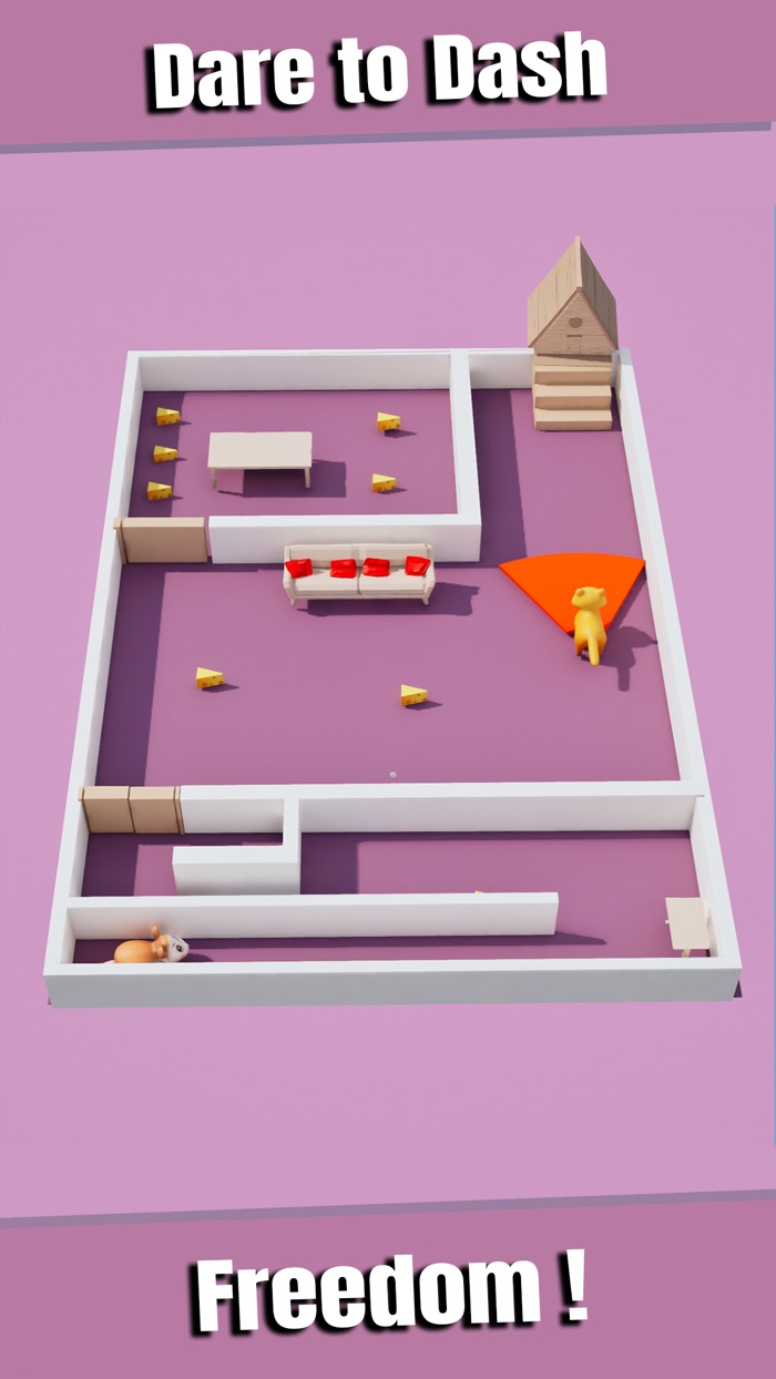 Mouse Escape Hide and Seek