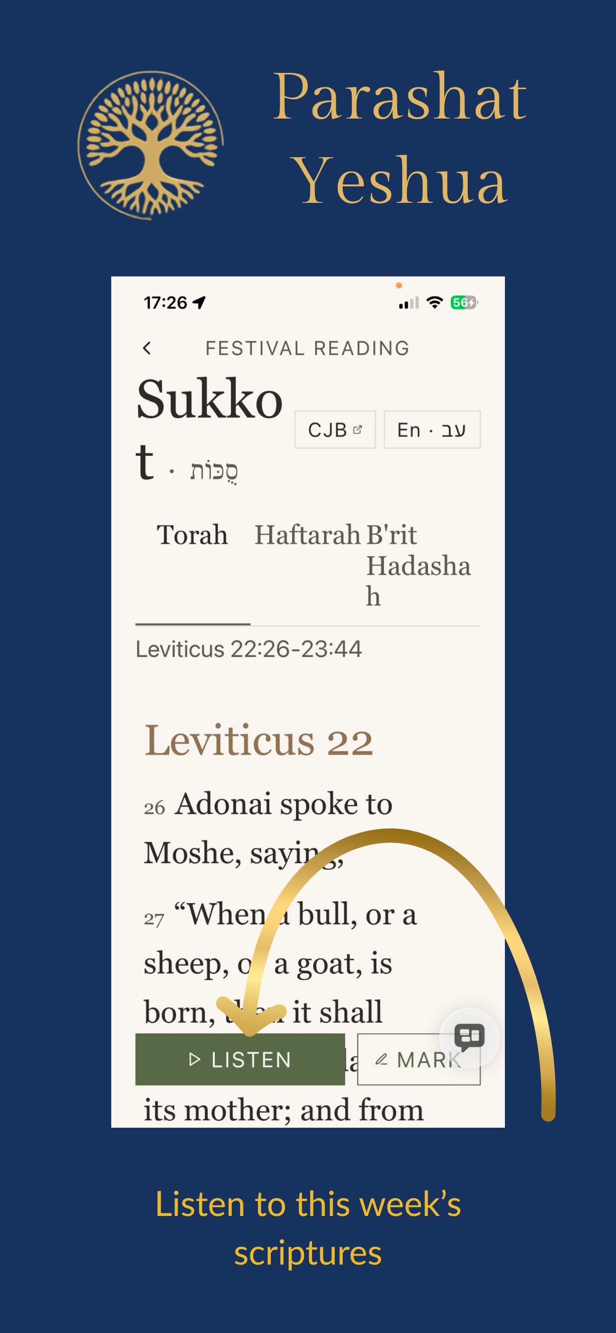 Screenshot 7 of Parashat Yeshua