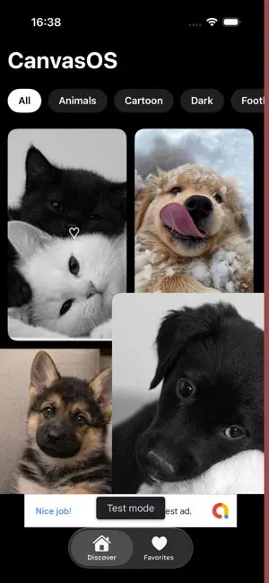 CanvasOS screenshot 2